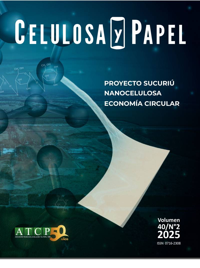 Celulosa y Papel N°2 - 2025